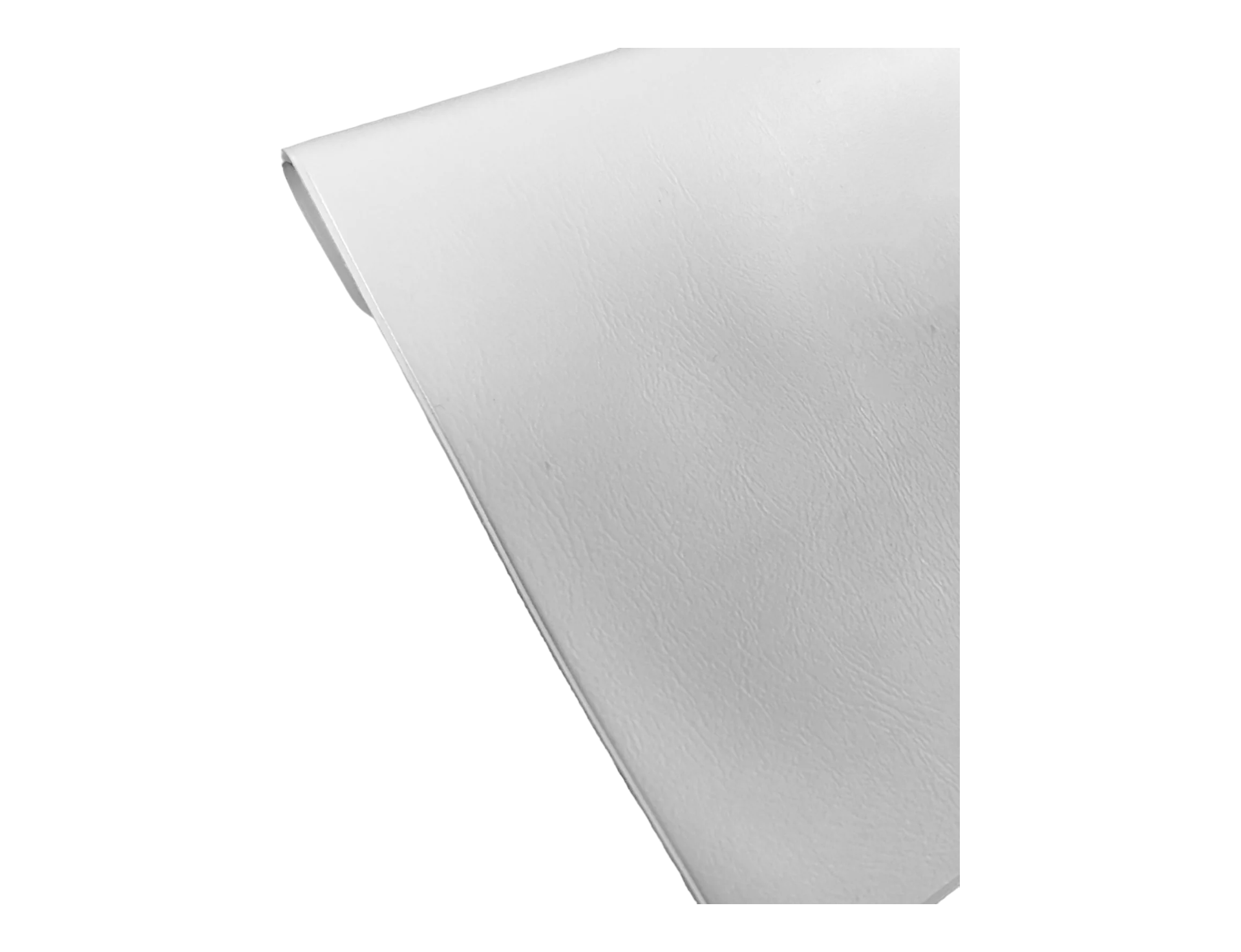 Metralha Worldwide Travel Document Holder (white/green)
